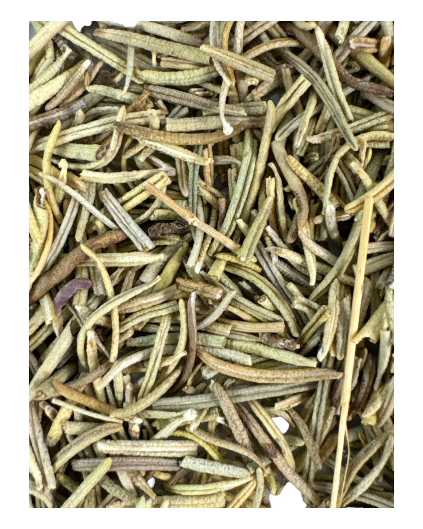 ROSEMARY  (Protection/ Prosperity/ Purification)   3g