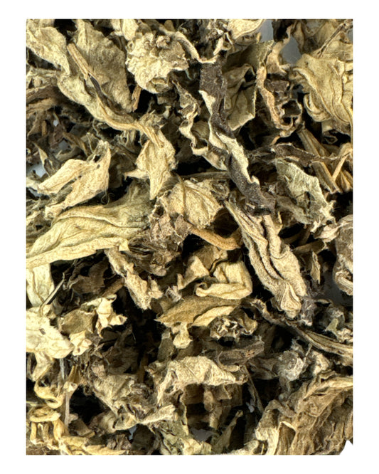 MUGWORT  (Divination/ Dreaming)  3g